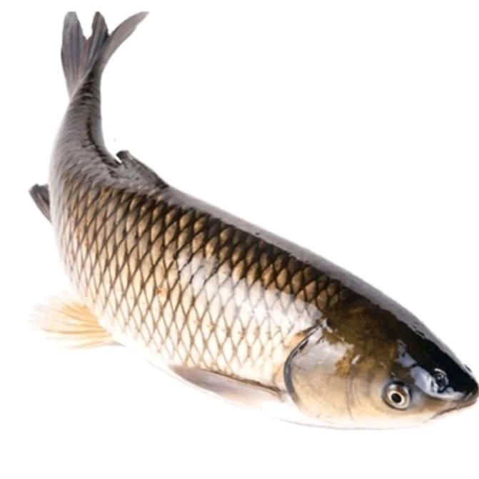在