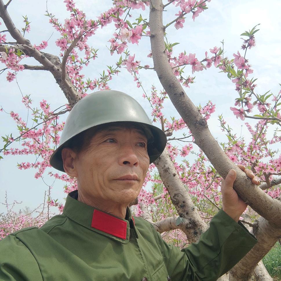 战友情
