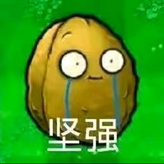 小鑫1