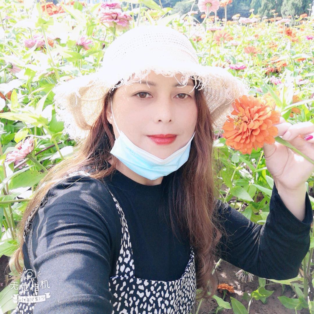 燕子💞