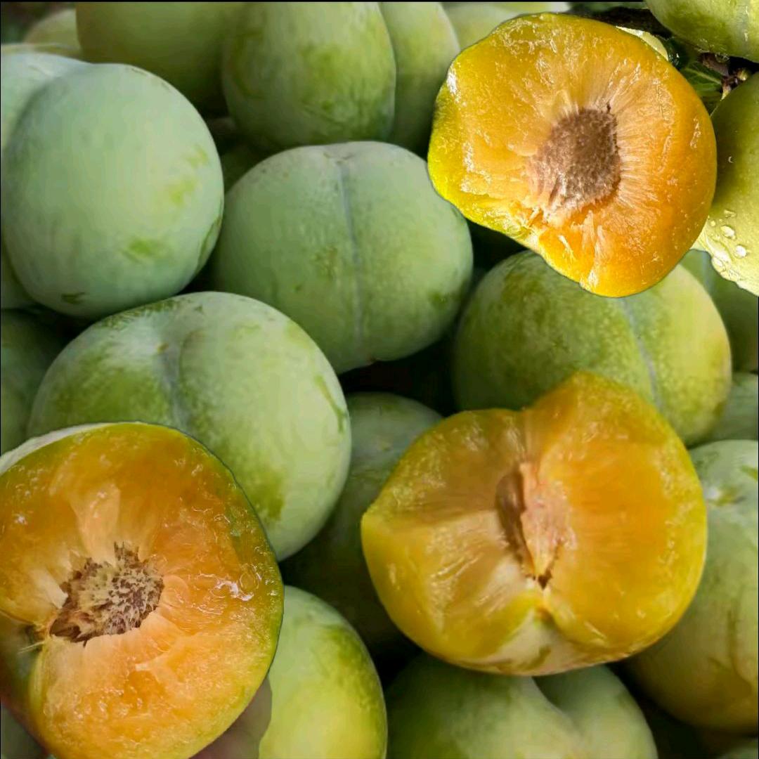 惗优品峰李果树苗木专卖店