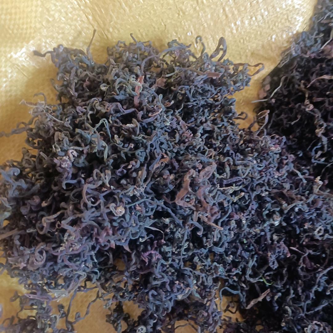 用户东北丑姐