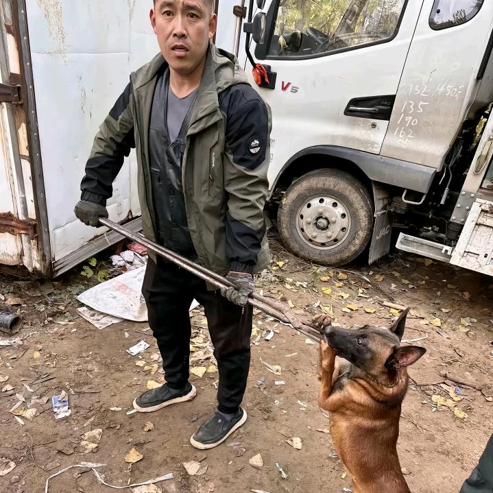 AAA.专业套狗伏师傅