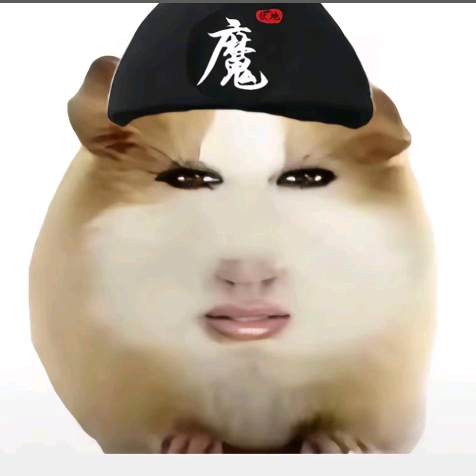 排骨君