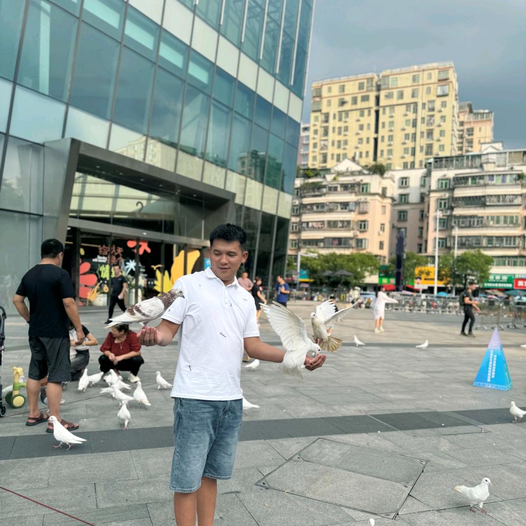 年审，年审小叶