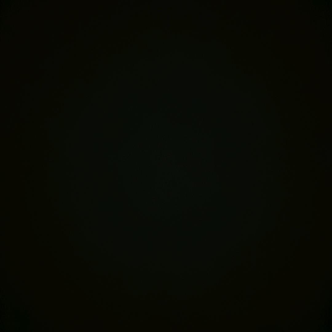 用户747944355869