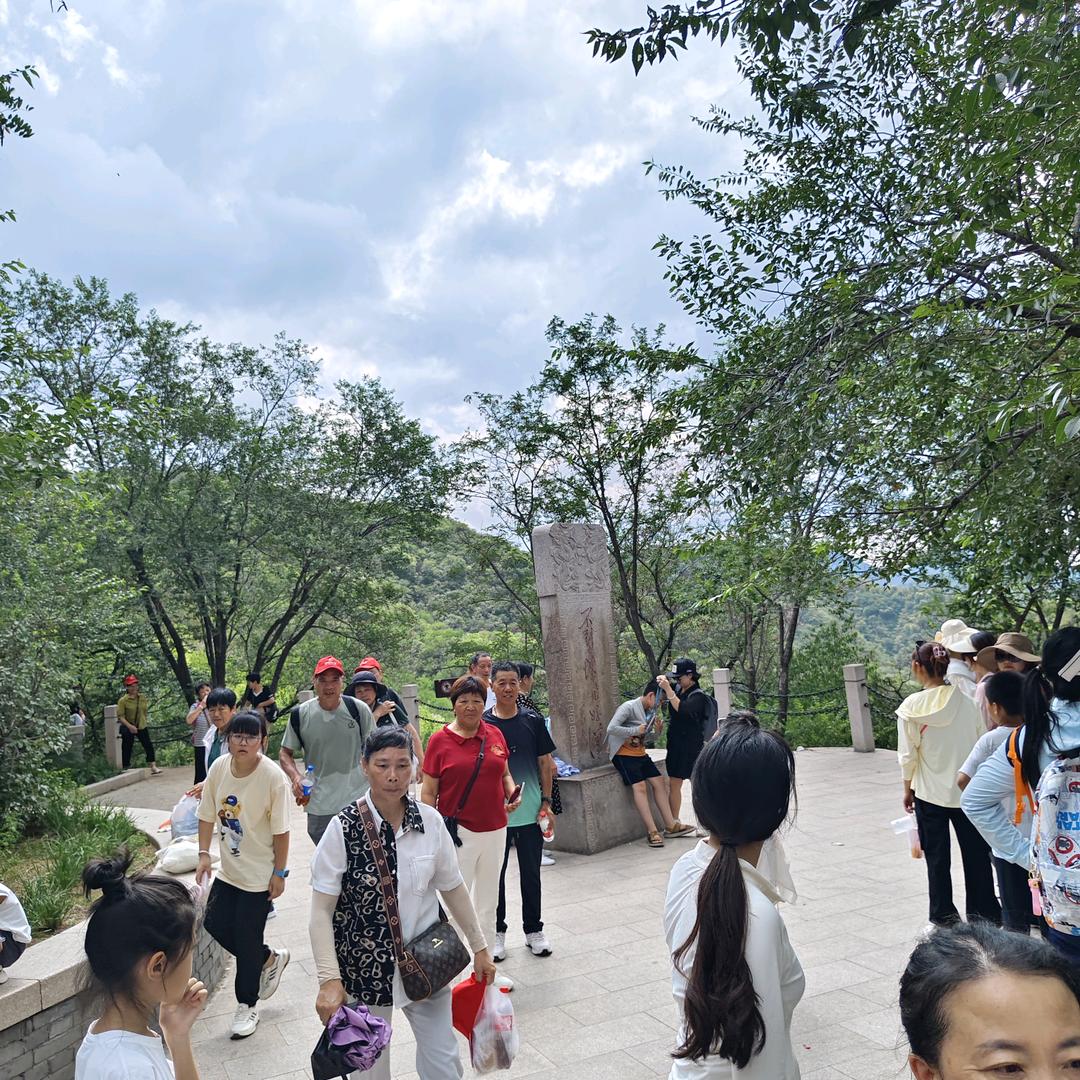 淡淡人生静静过