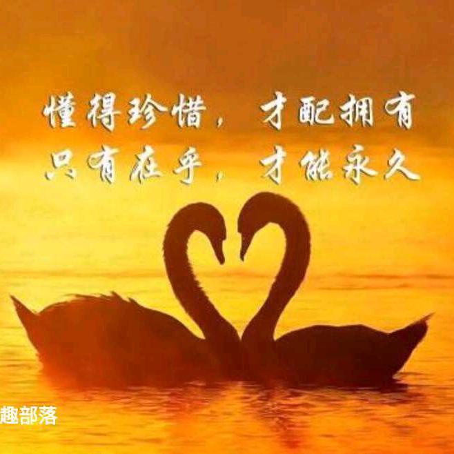 沧海一粟《CSV祥兆犬舍》