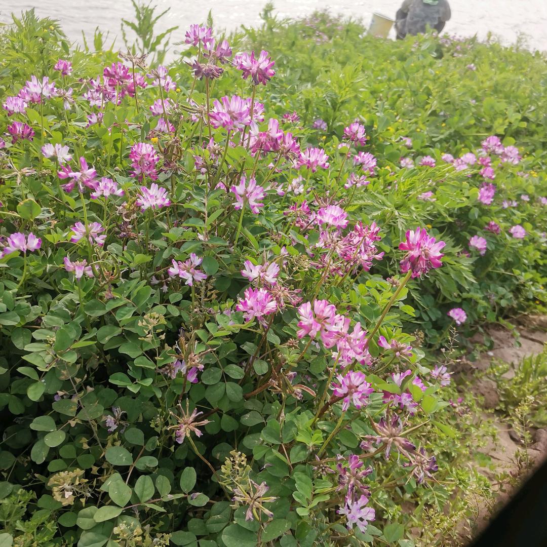 余生好好爱自己