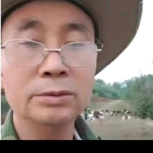 倪子云