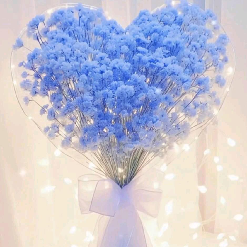 🌸仙舞/千韵🌸