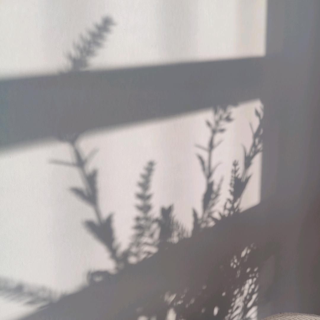 毅/Yi