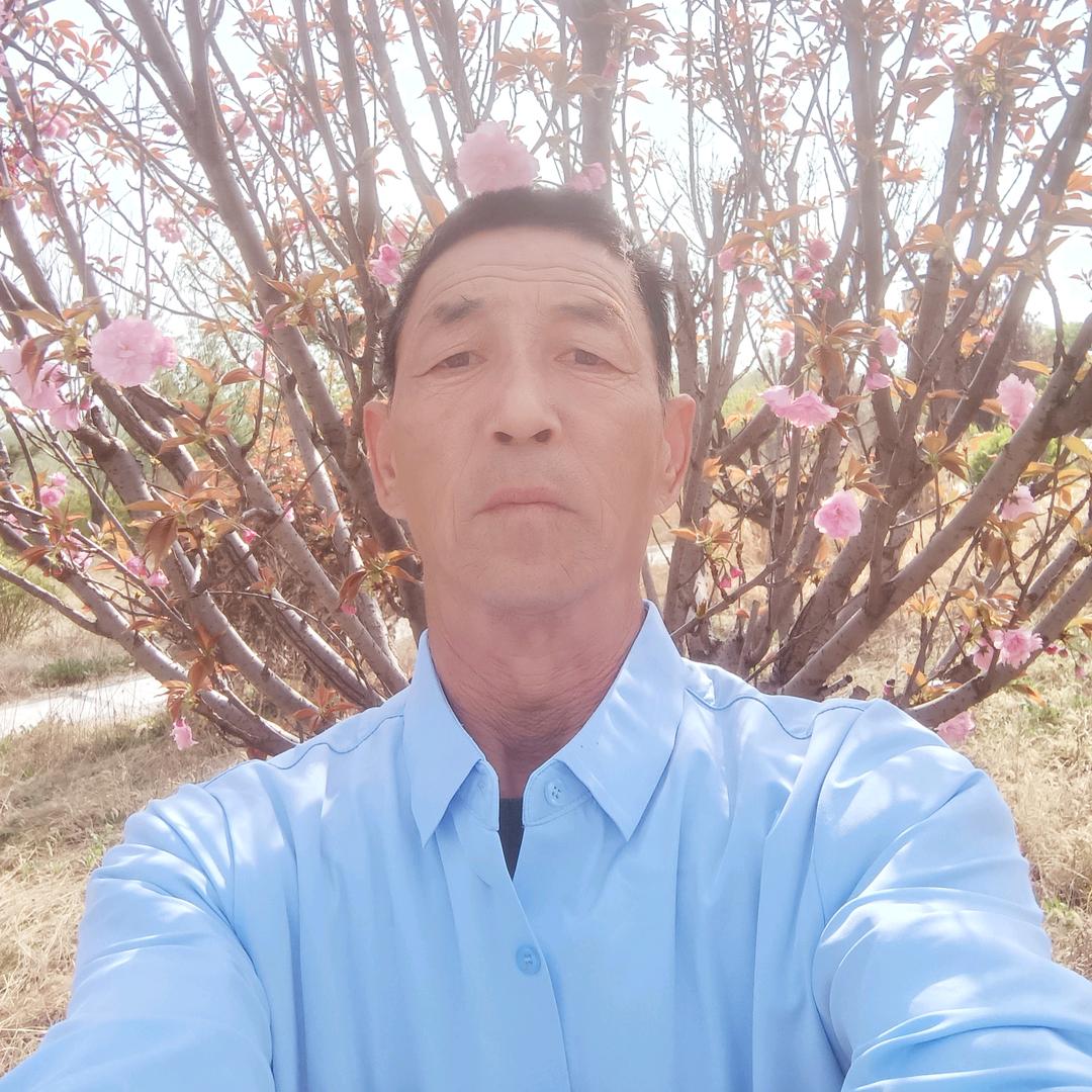 鹏程万里