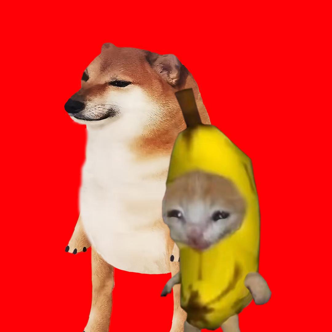 香蕉猫与cheems小剧场