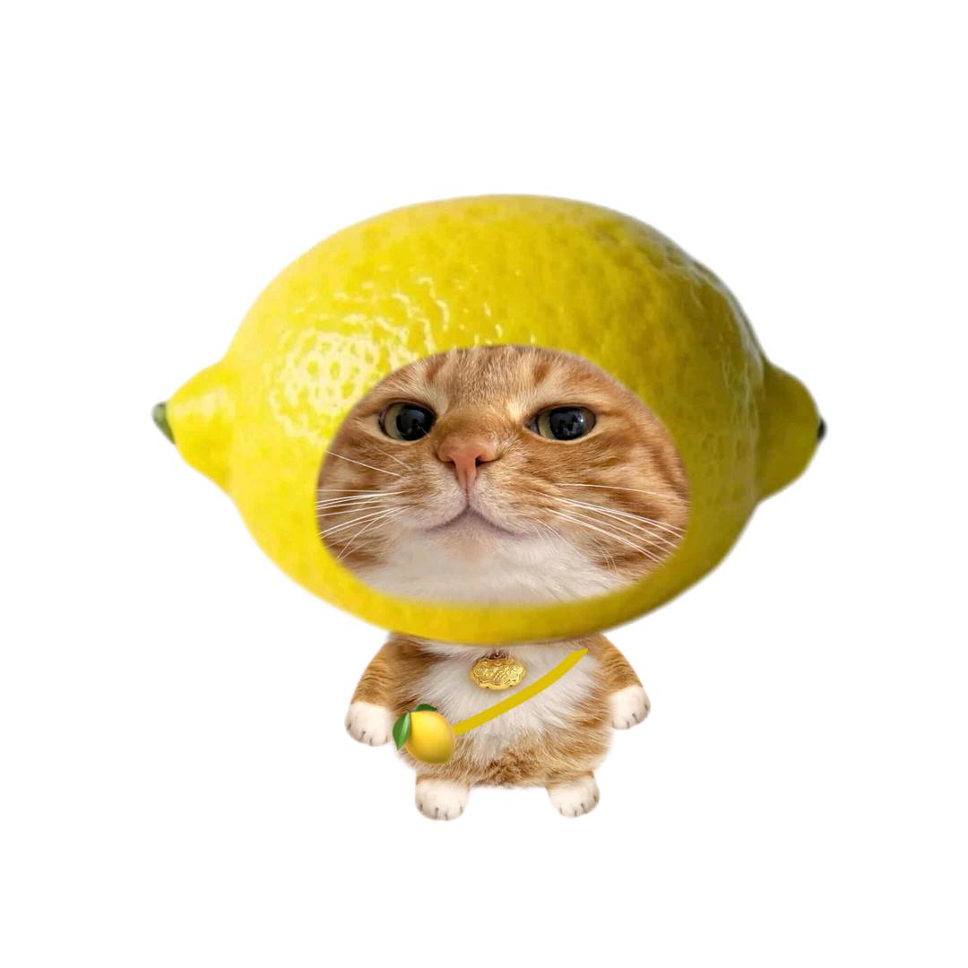 哇耶