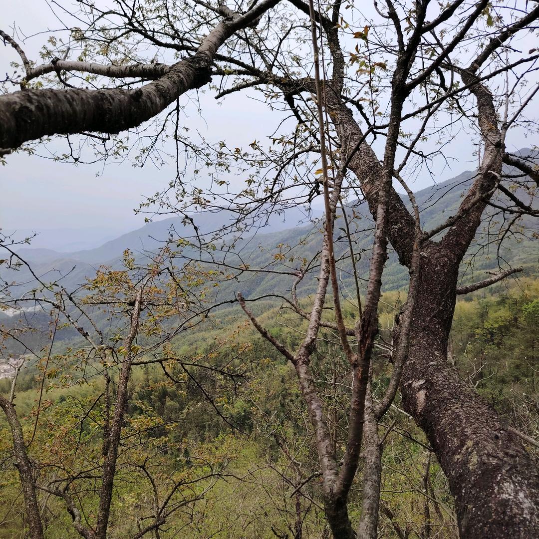 深山人