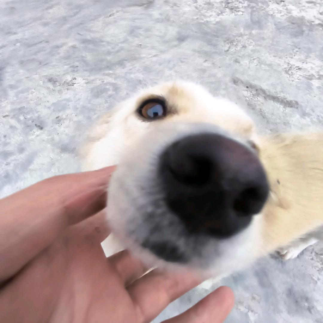 一套苏
