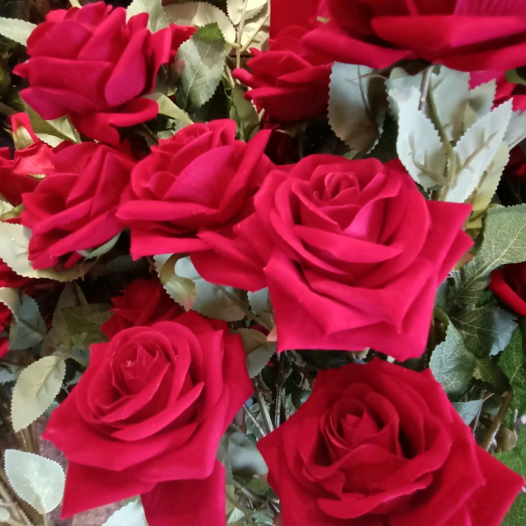 春暖花开❤️