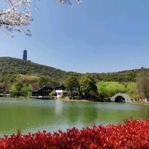 冰清玉洁