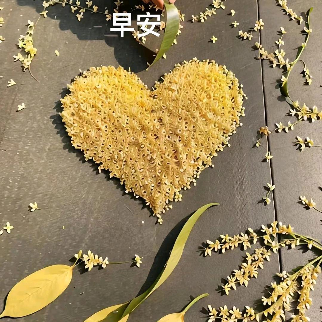 ღ᭄ꦿ九璃