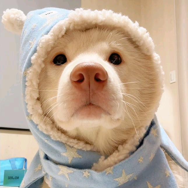 许复