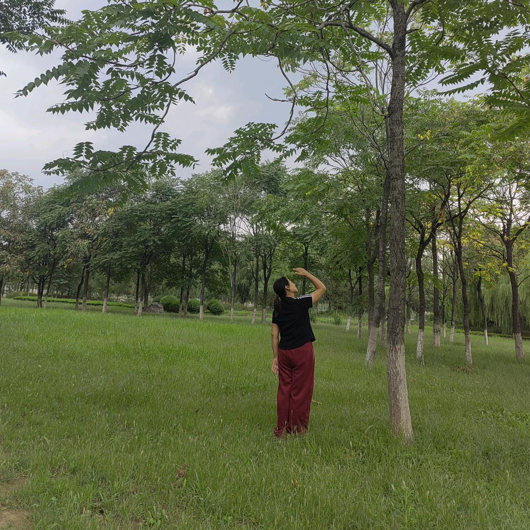马梅