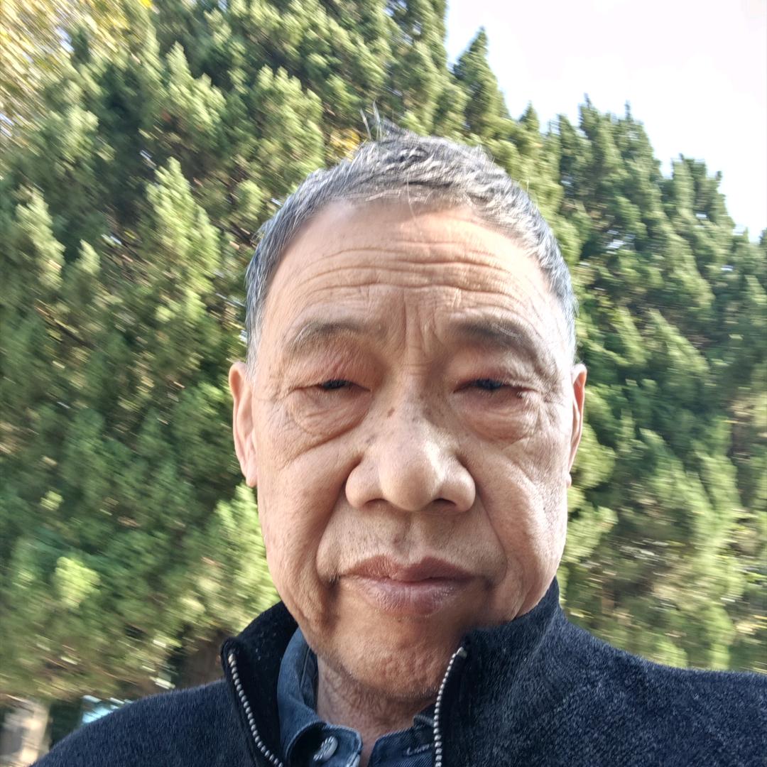 正平短剧