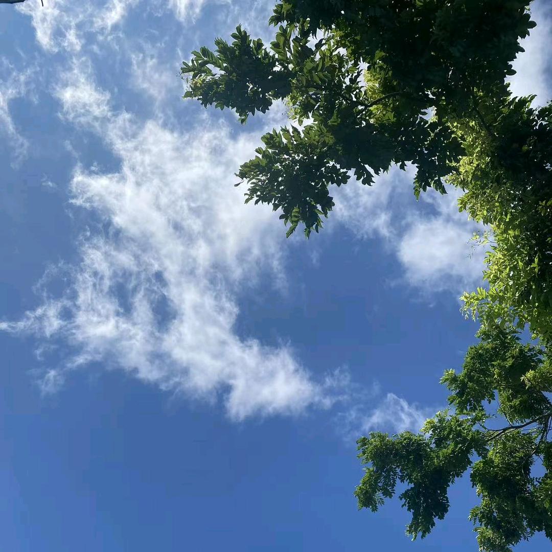 回观就给