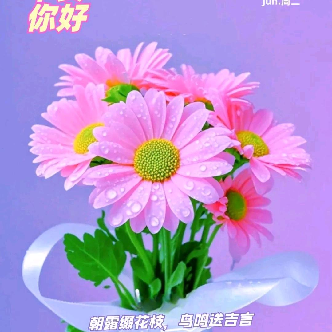 用户，家和万事兴