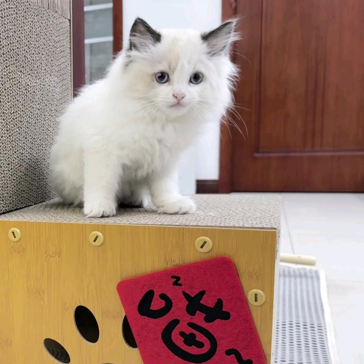 生如长河
