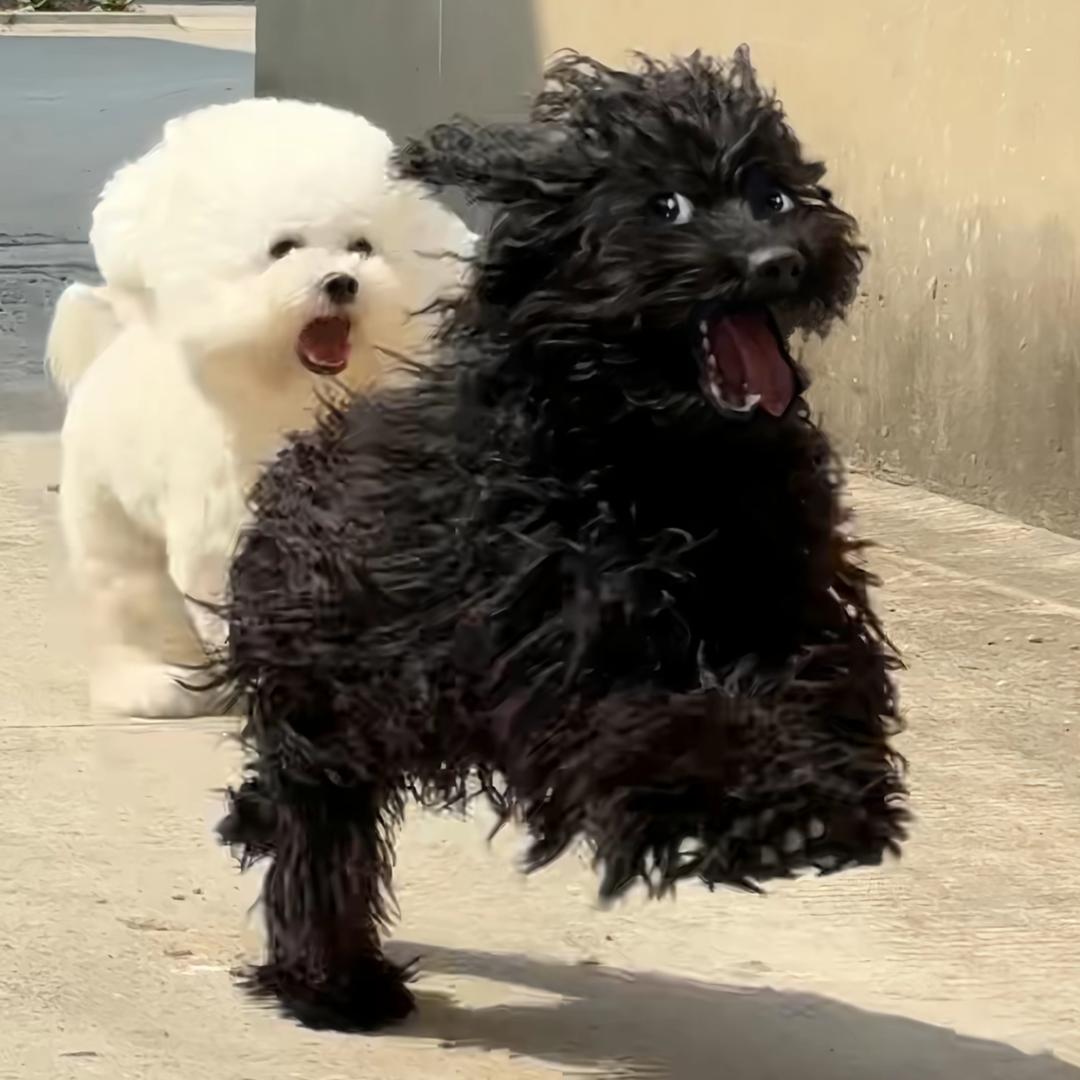 泷青