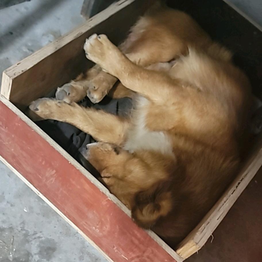 高压脉冲