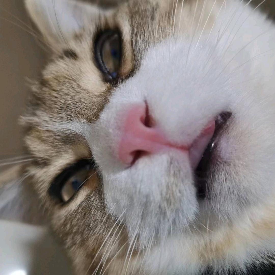 拾。