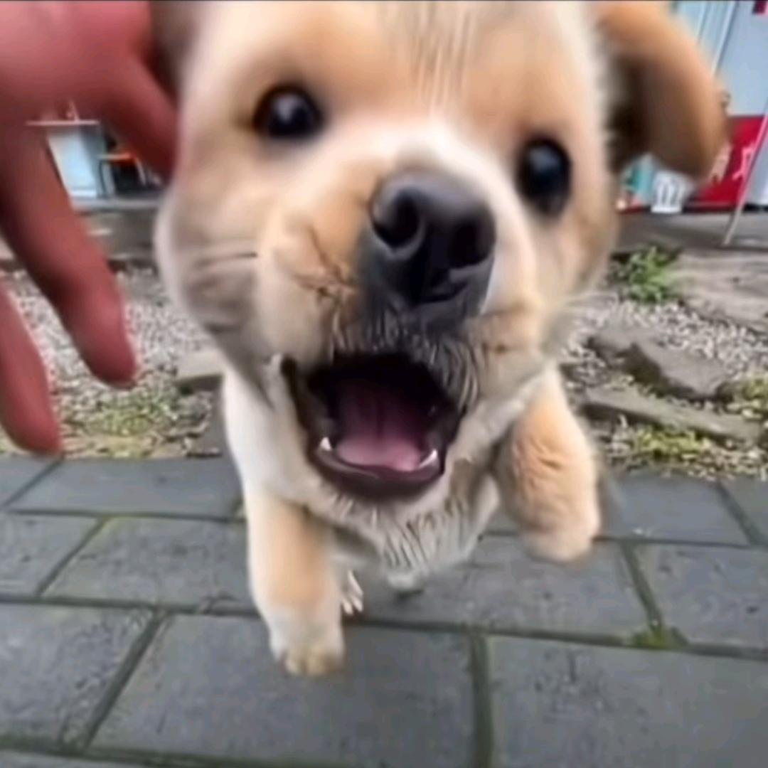 *漠然つ