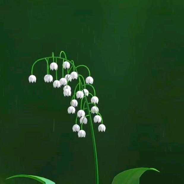 一悟