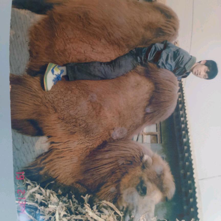 小少爷