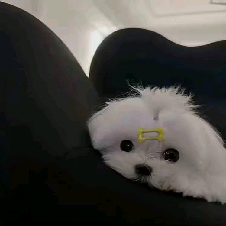 不愿