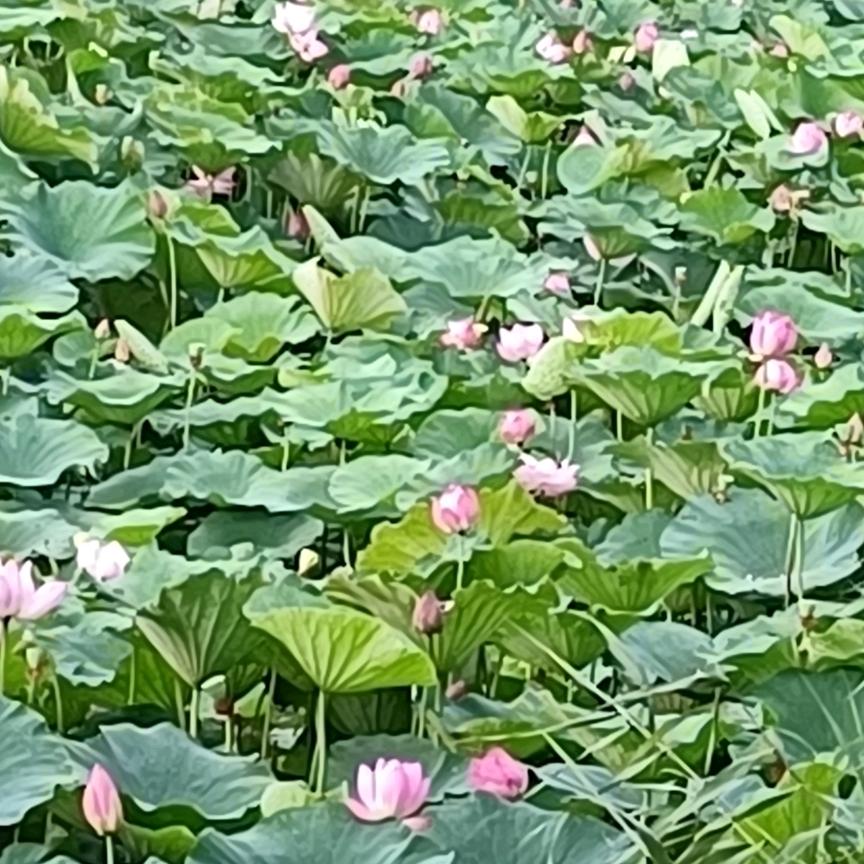蚌埠工商技工学校七楼男宿