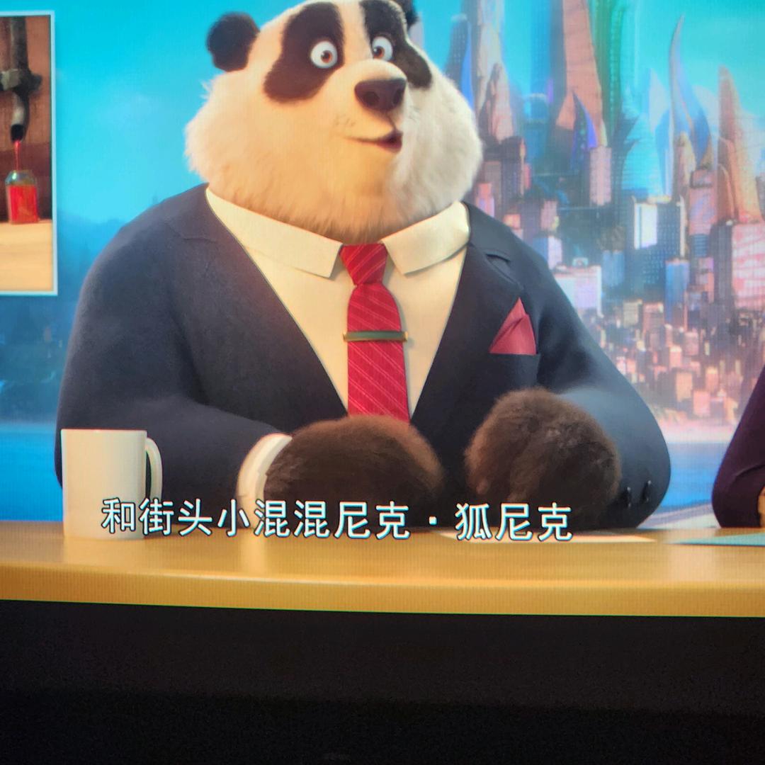 前情似锦