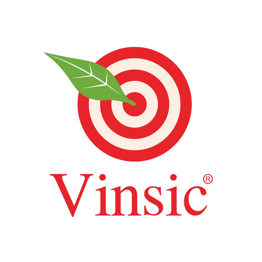 Vinsic海外旗舰店