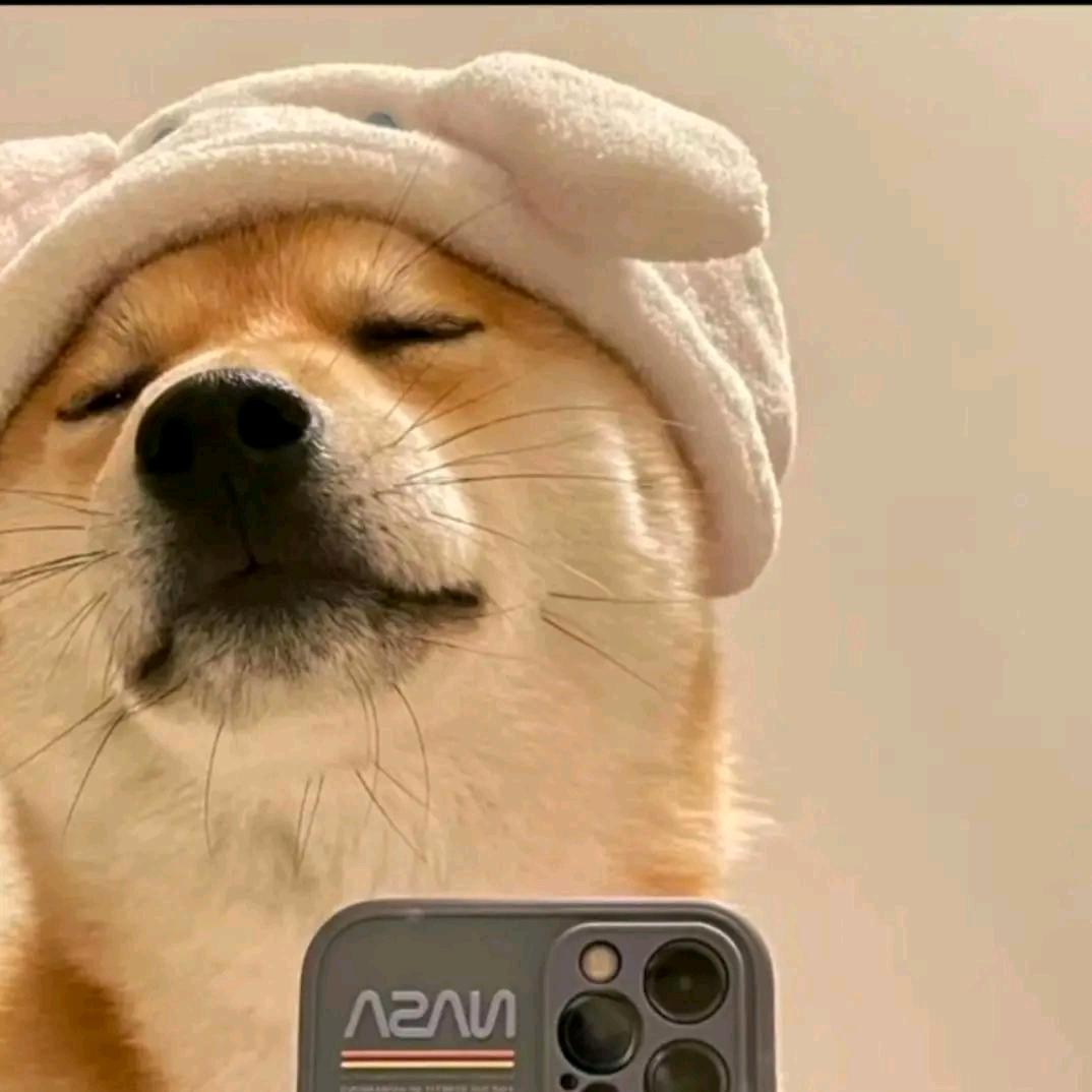 百万张💰