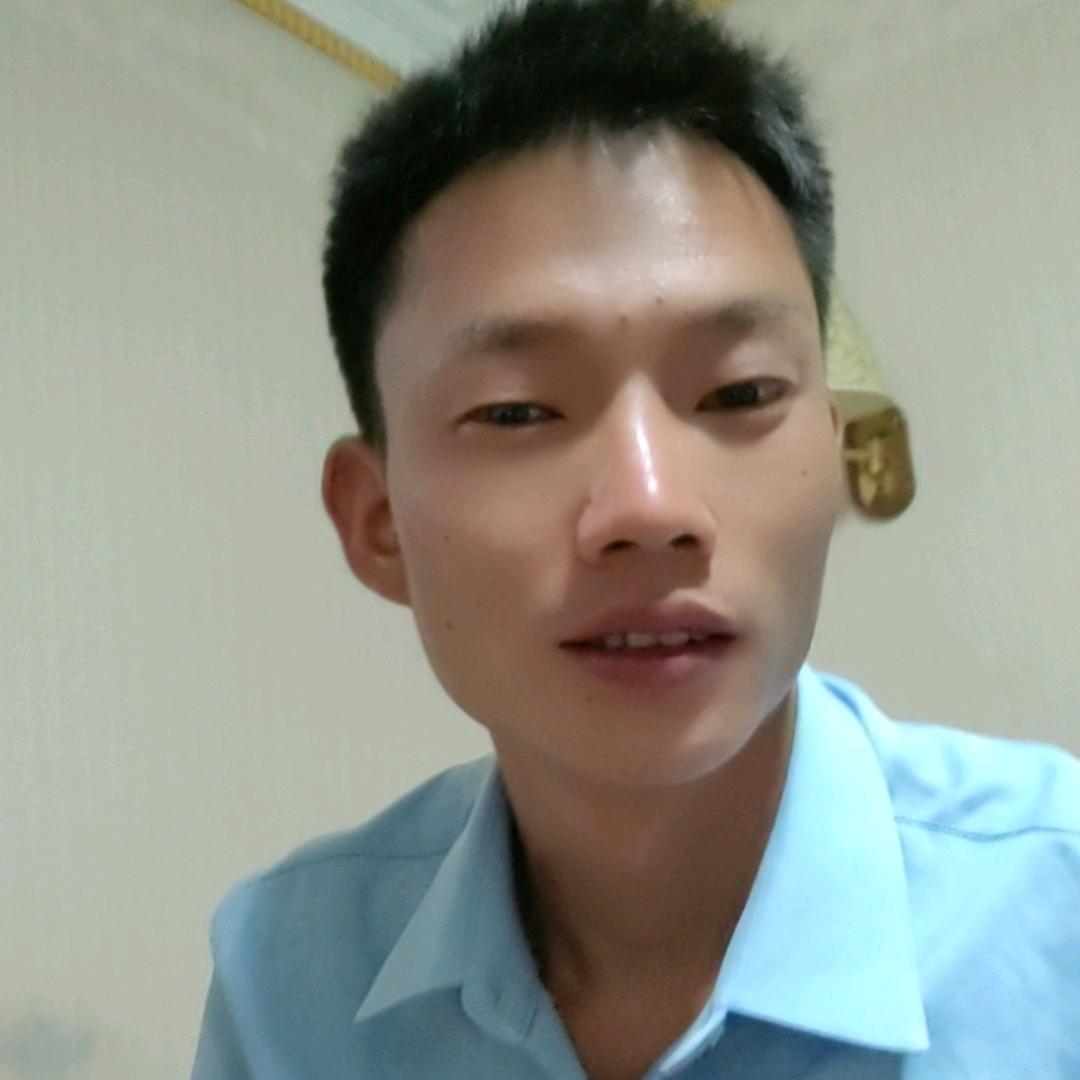 ✴️努力搬砖的两脚兽☪