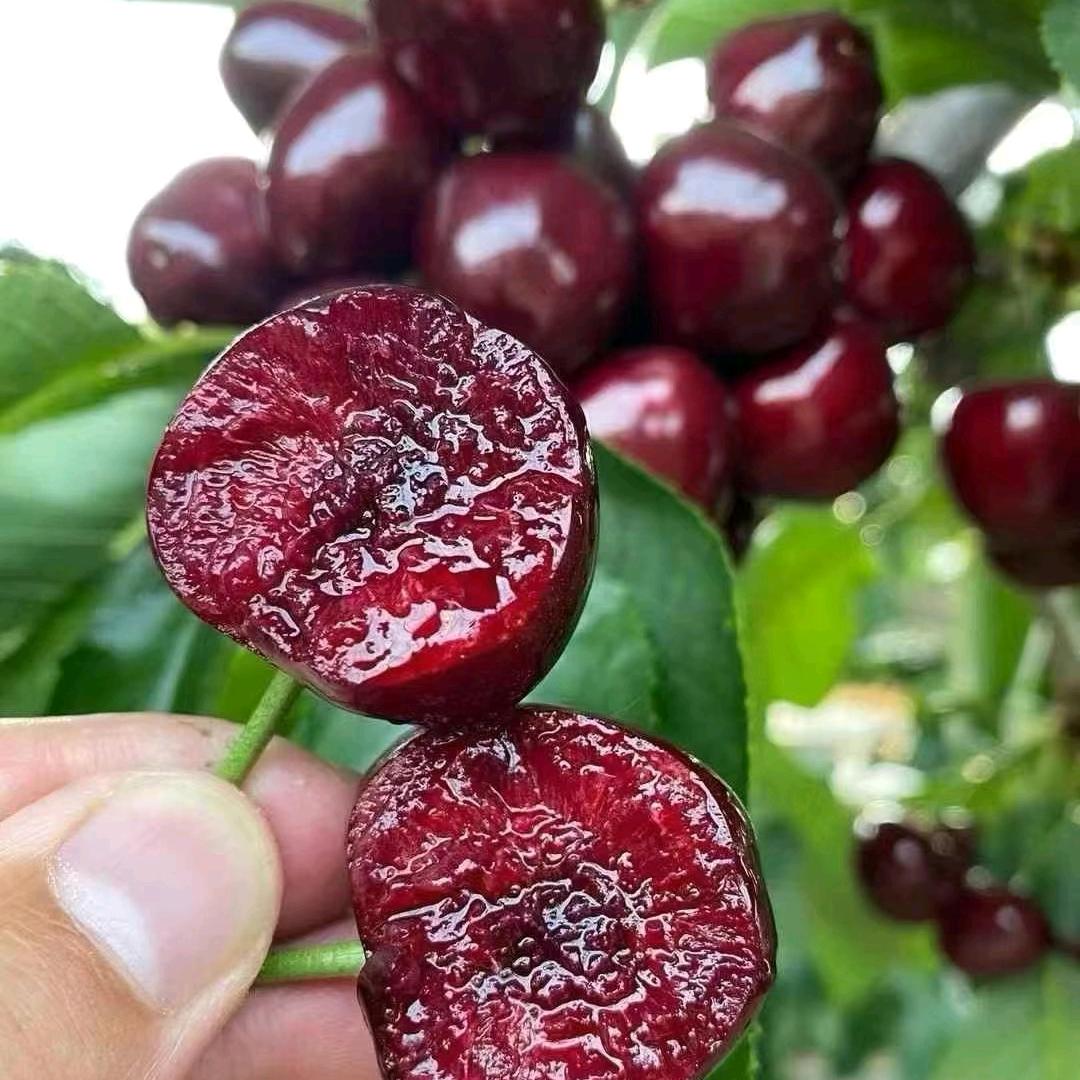 优源农汇果蔬海鲜