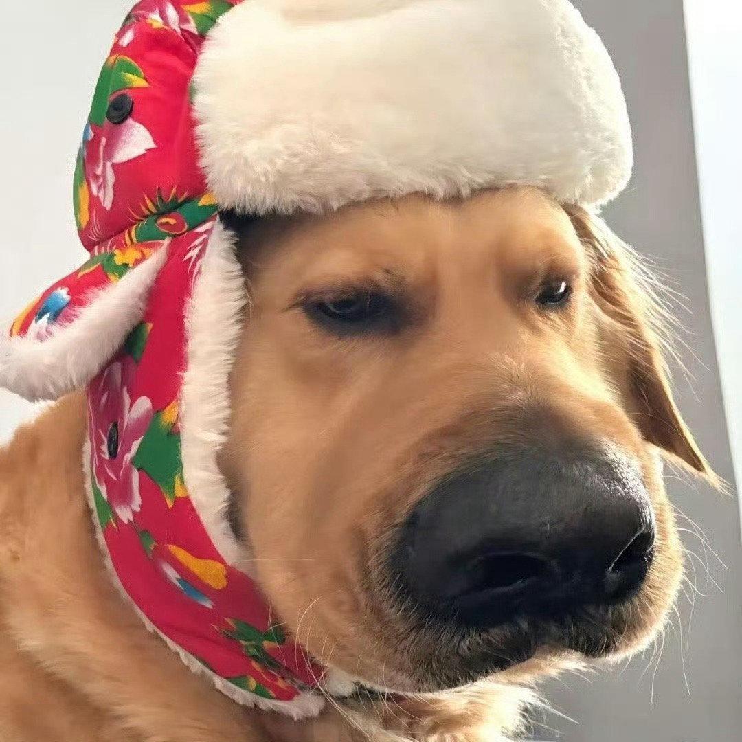 It's Eve