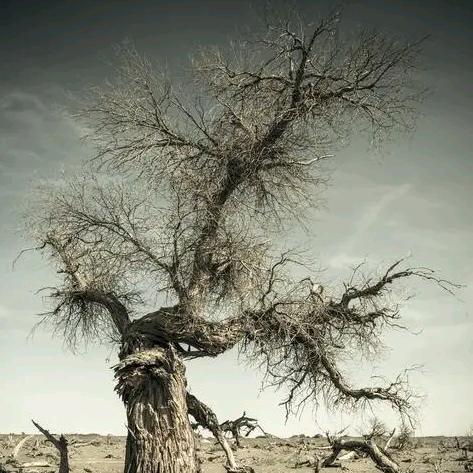 用心  吃喝玩乐