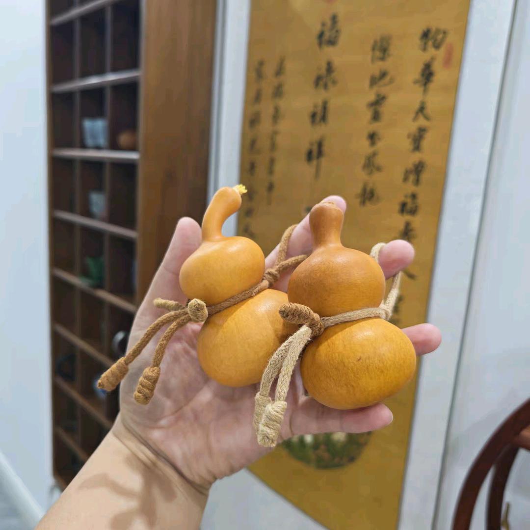 说与山听🌿🌵🌲🌳🌴