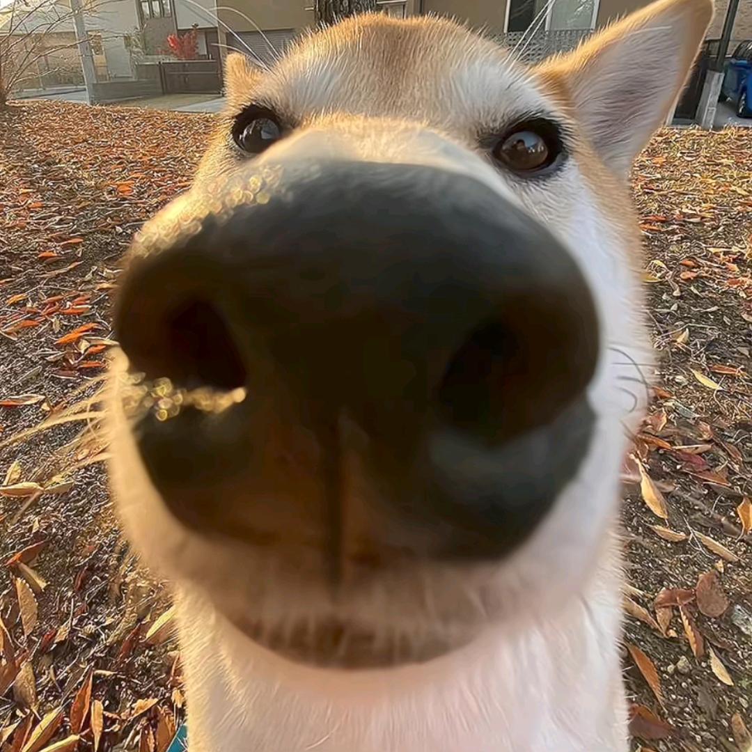 小鬼