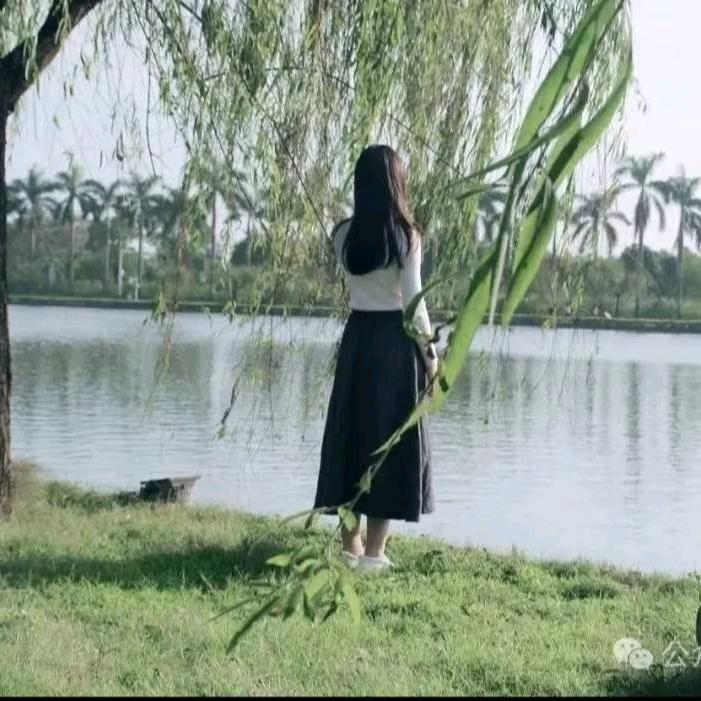 梦想成真