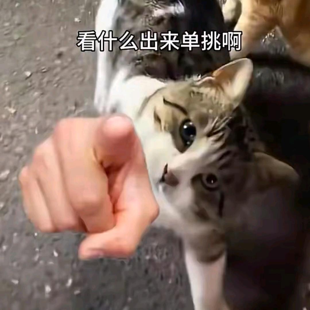 🌫️疯癫的依古比古