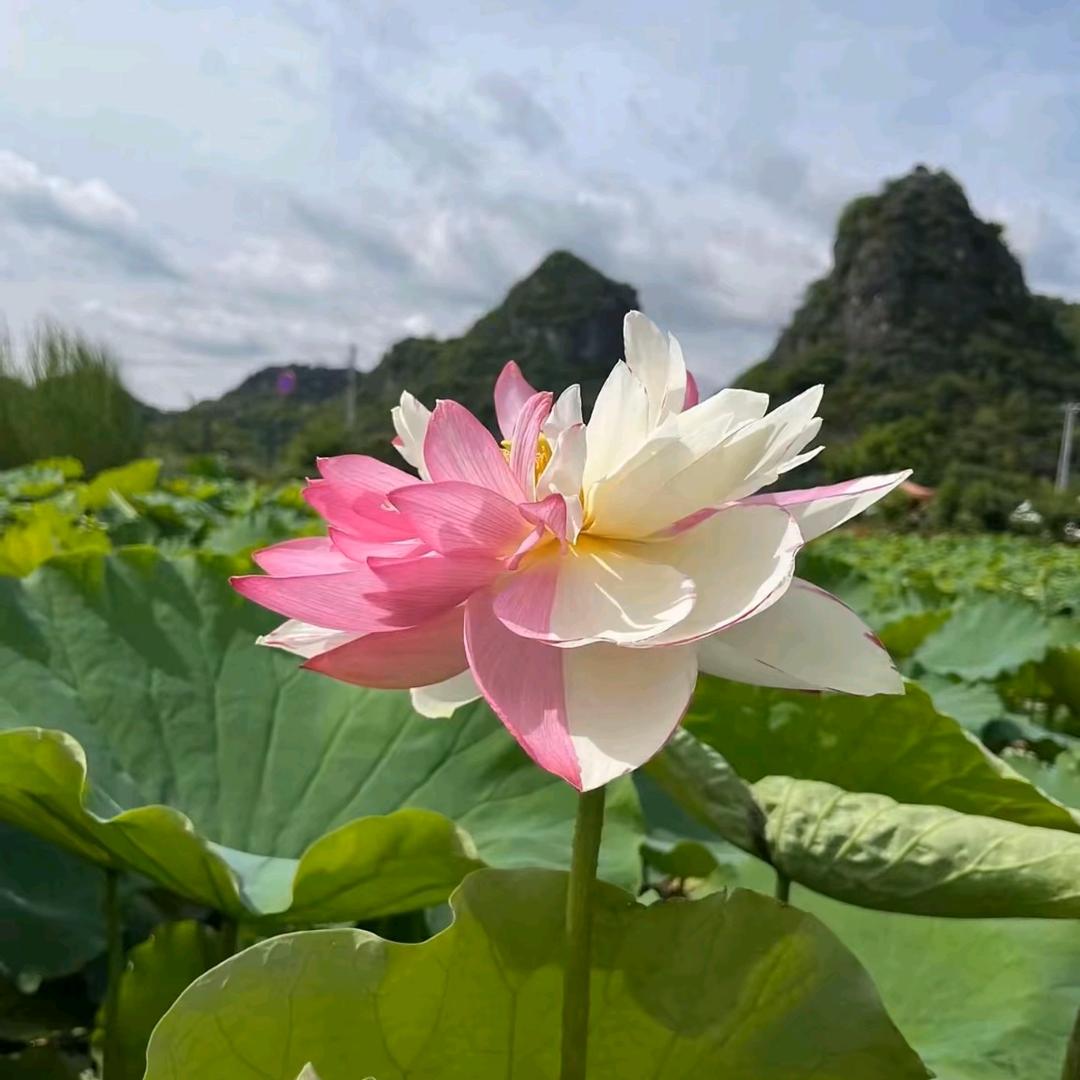 余生请多指教
